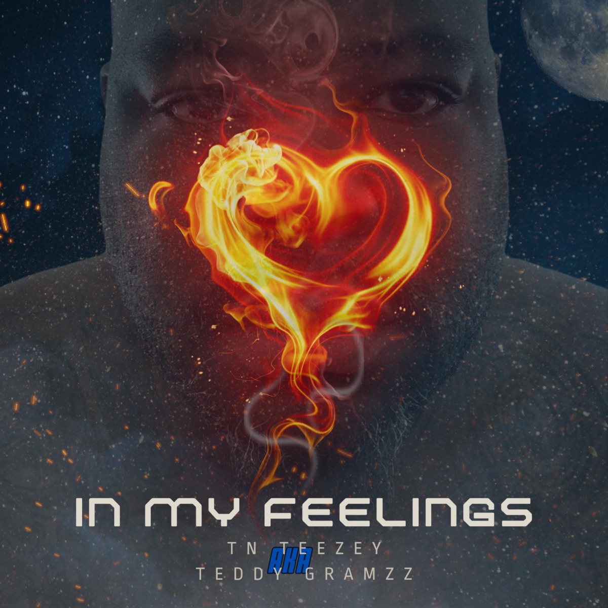 In My Feelings cover